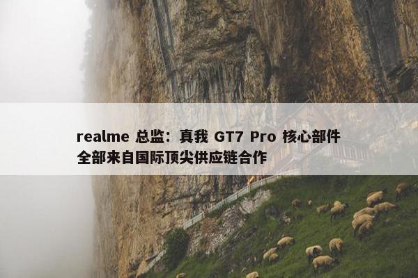 realme 总监：真我 GT7 Pro 核心部件全部来自国际顶尖供应链合作