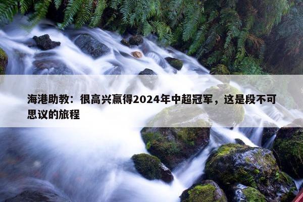 海港助教：很高兴赢得2024年中超冠军，这是段不可思议的旅程