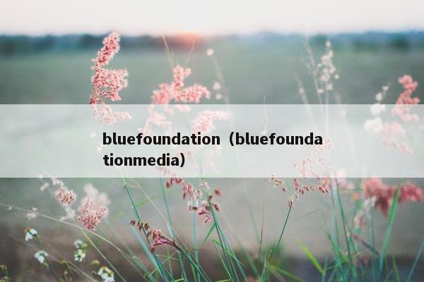 bluefoundation（bluefoundationmedia）