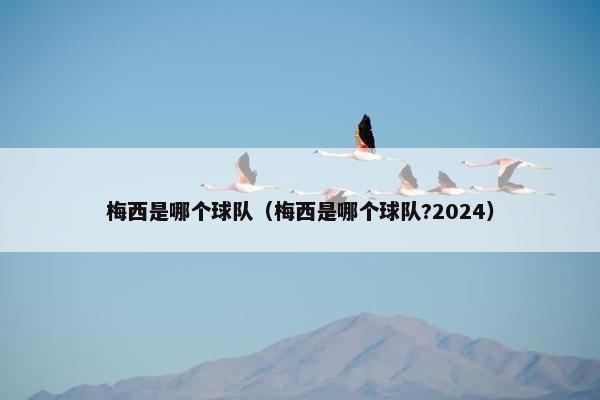 梅西是哪个球队（梅西是哪个球队?2024）