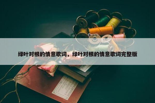 绿叶对根的情意歌词，绿叶对根的情意歌词完整版