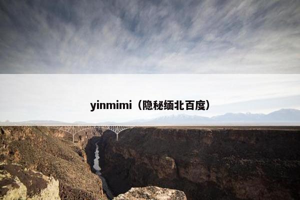 yinmimi（隐秘缅北百度）