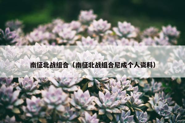 南征北战组合（南征北战组合尼成个人资料）