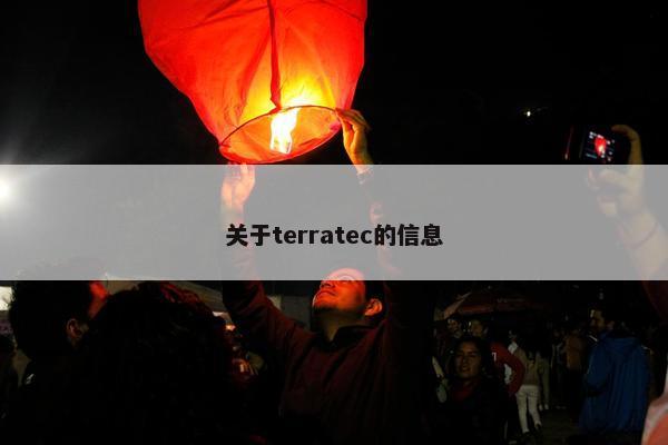 关于terratec的信息