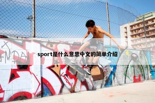 sport是什么意思中文的简单介绍