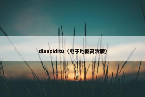 dianziditu（电子地图高清版）