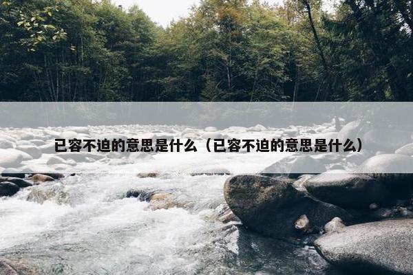 已容不迫的意思是什么（已容不迫的意思是什么）